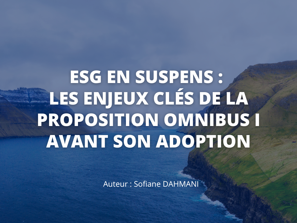 ESG EN SUSPENS Les Enjeux Clés De La Proposition Omnibus I Avant Son Adoption Nexialog Article