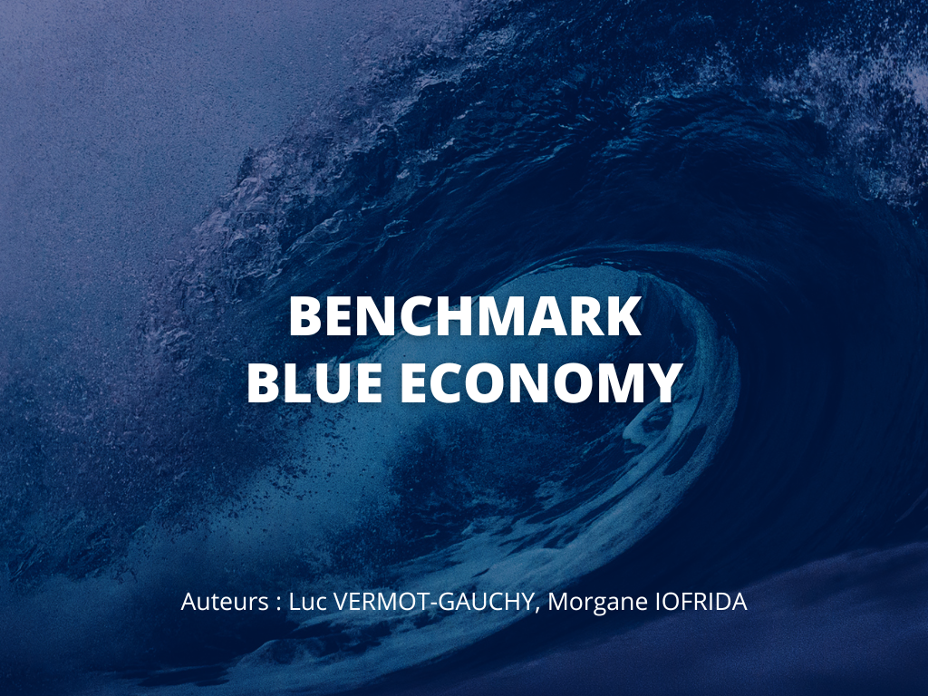 Benchmark Blue Economy Nexialog