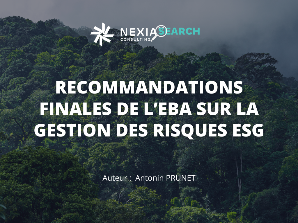 Recommandations Finales De L’EBA Sur La Gestion Des Risques ESG Nexialog Consulting