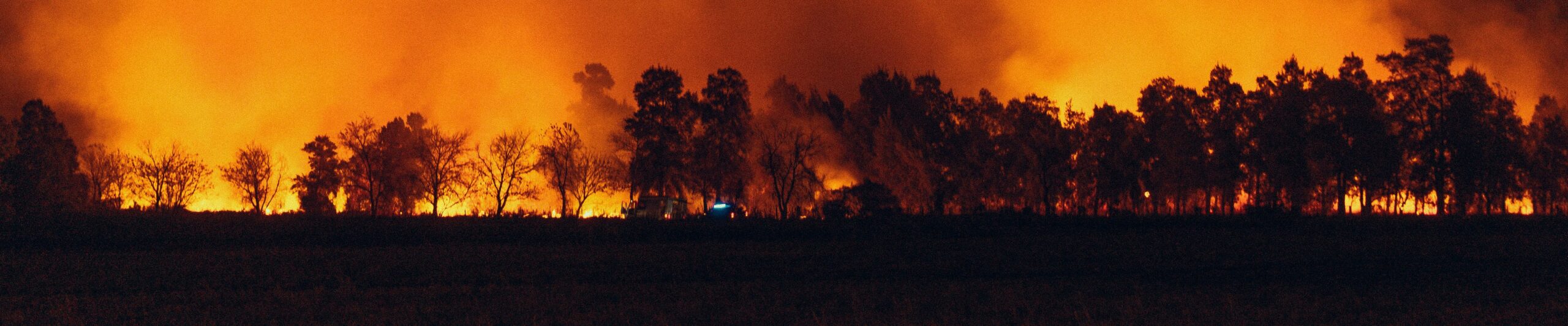 Feu de forêt intense illustrant les risques climatiques couverts par l'assurance paramétrique